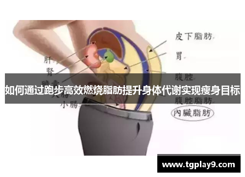 如何通过跑步高效燃烧脂肪提升身体代谢实现瘦身目标