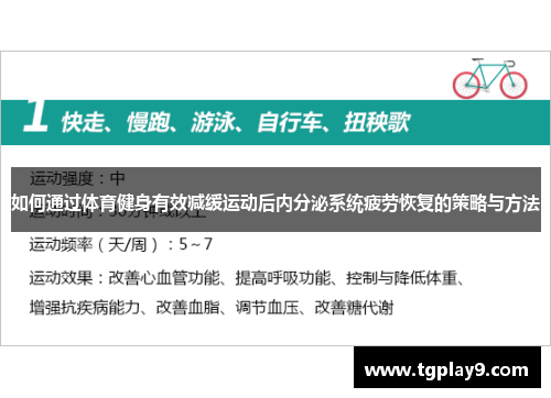 如何通过体育健身有效减缓运动后内分泌系统疲劳恢复的策略与方法